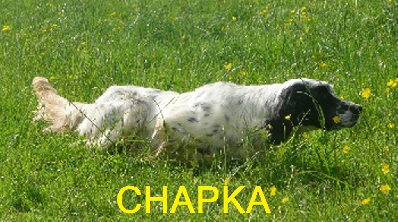 Chakpa de la Maletiere