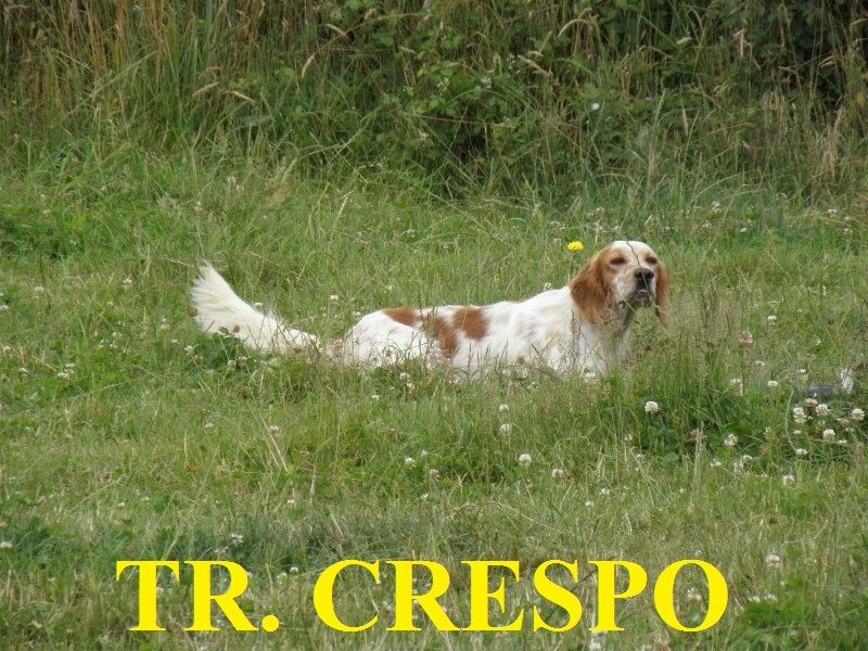 TR. Crespo du bois de tinguy